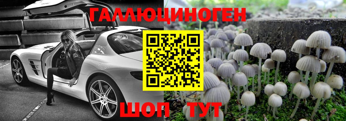 Галлюциногенные грибы Psilocybe  Вход с VPN  Рязань 