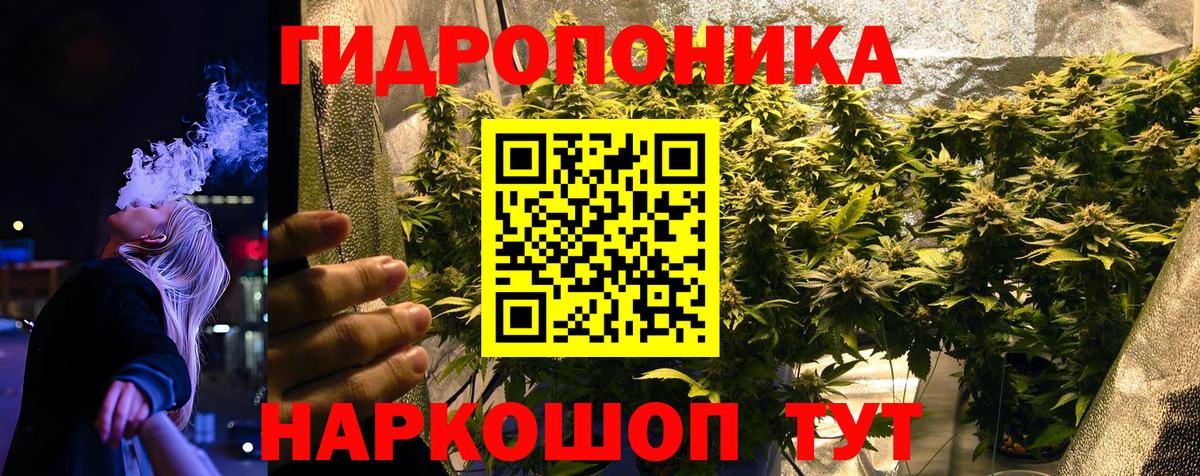 Шишки марихуана планчик Рязань